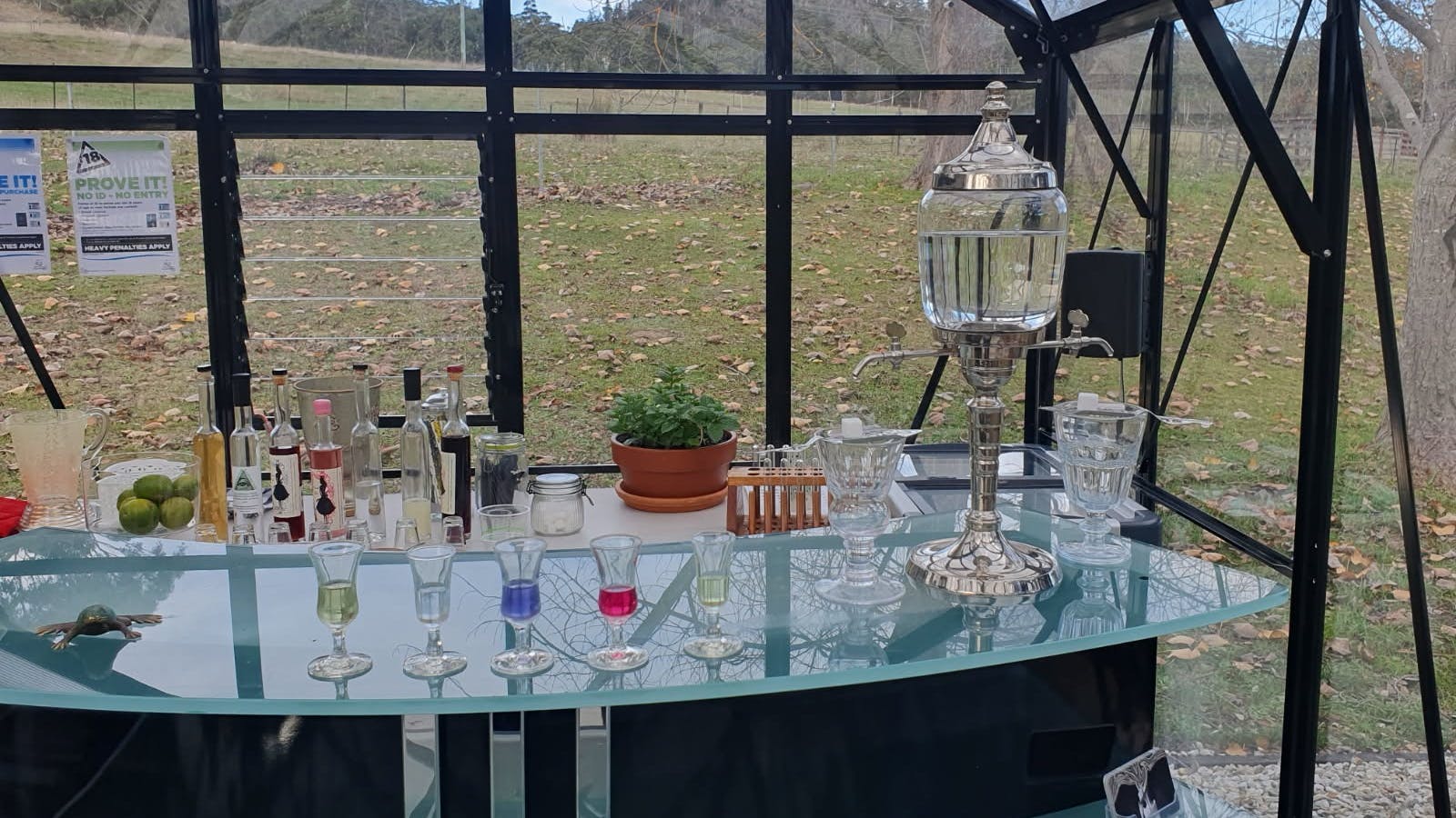 Our absinthe fountain