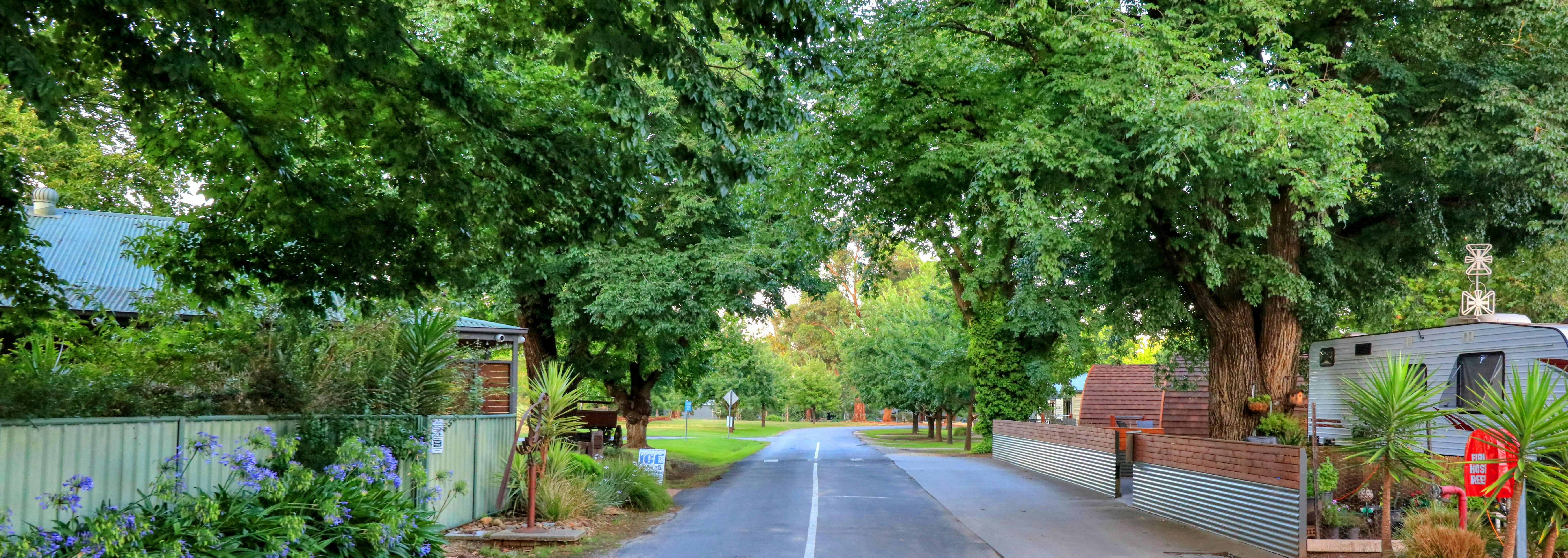 레이크 앤더슨 캐러밴 파크 정문
