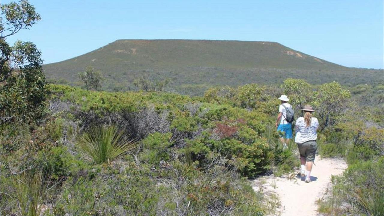 Lesueur Trail