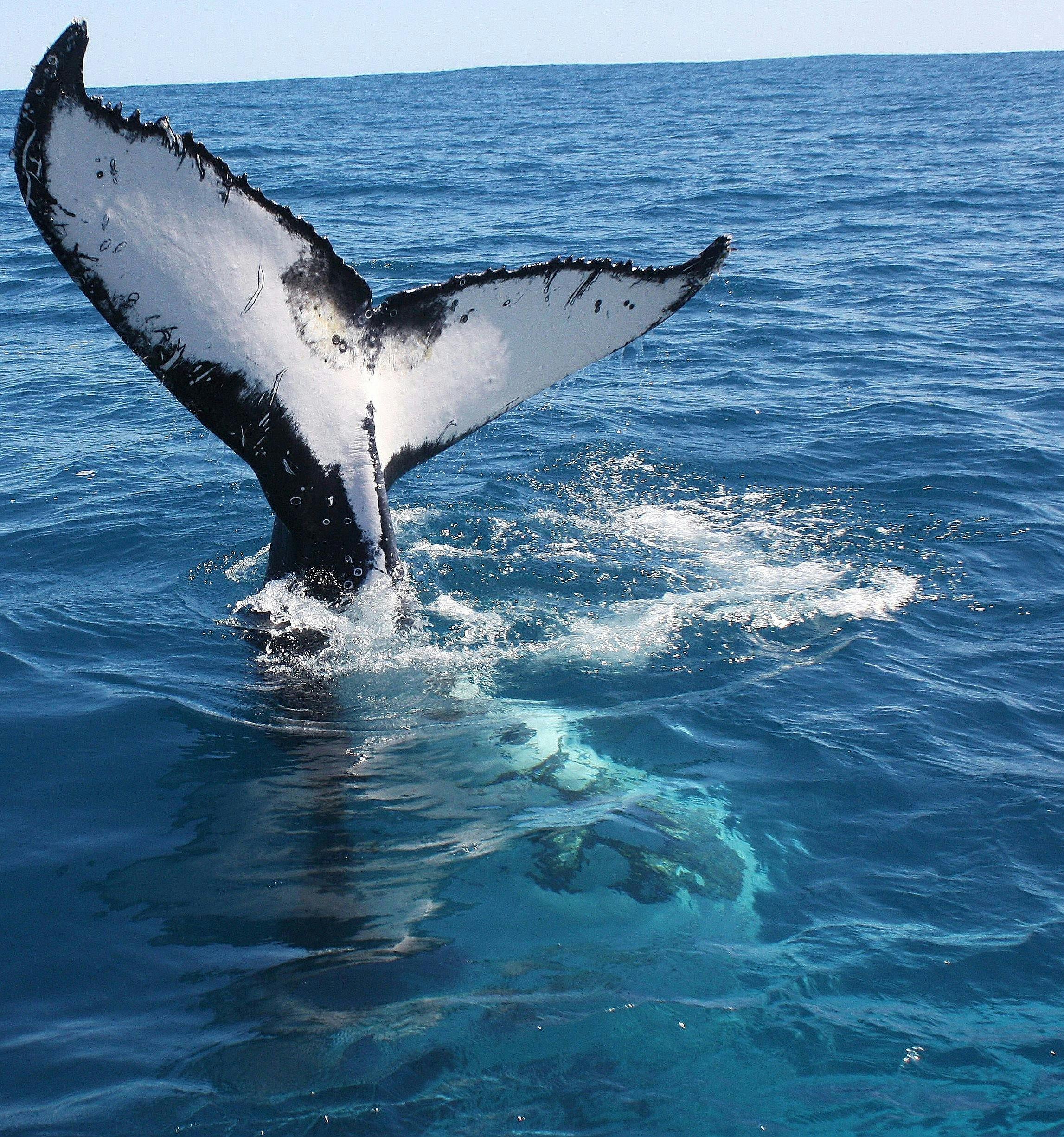 Reefwalker Charters, Kalbarri, Western Australia