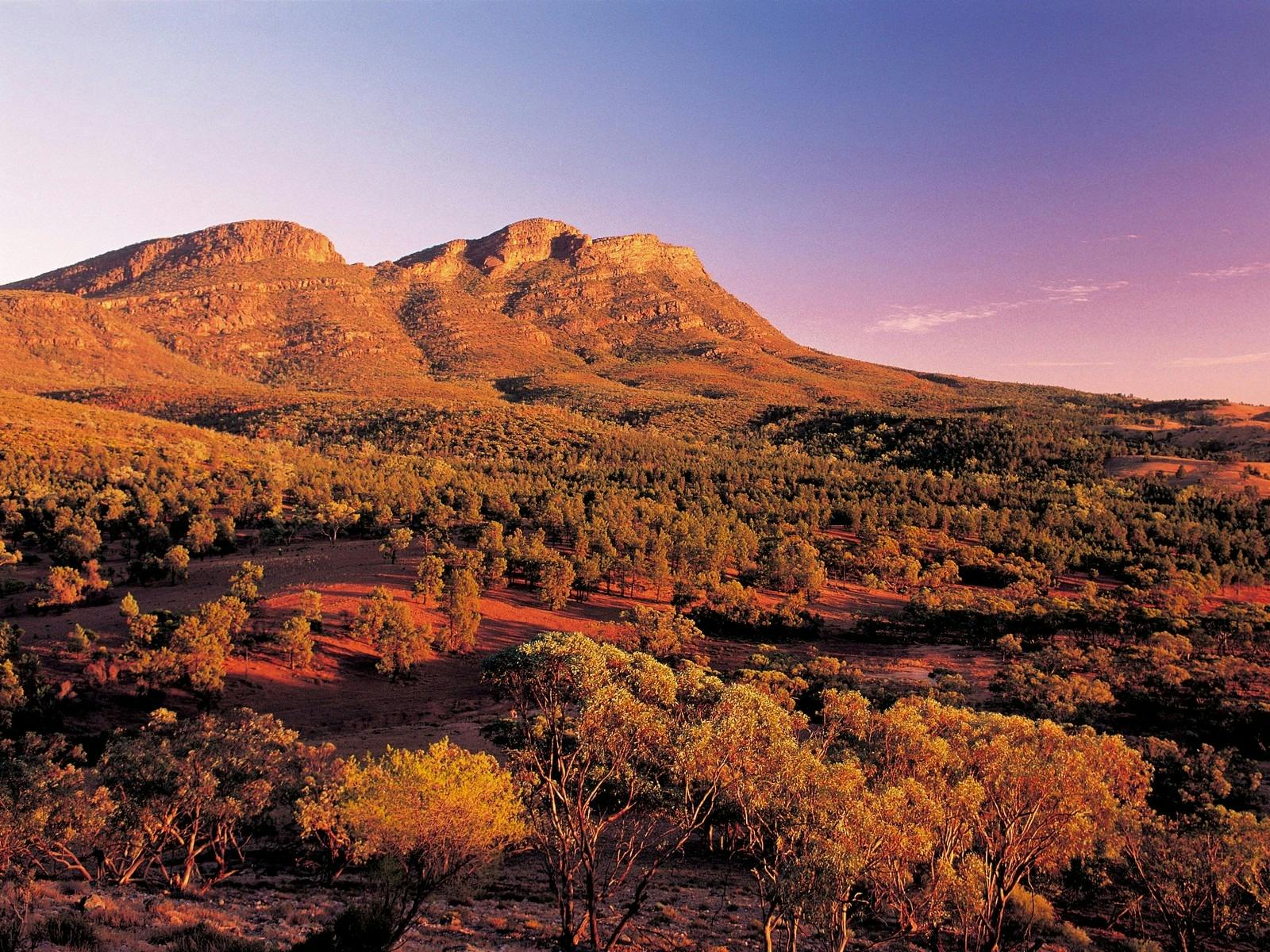 Flinders Ranges & Outback – 5 Day Small Group 4WD Eco Safari