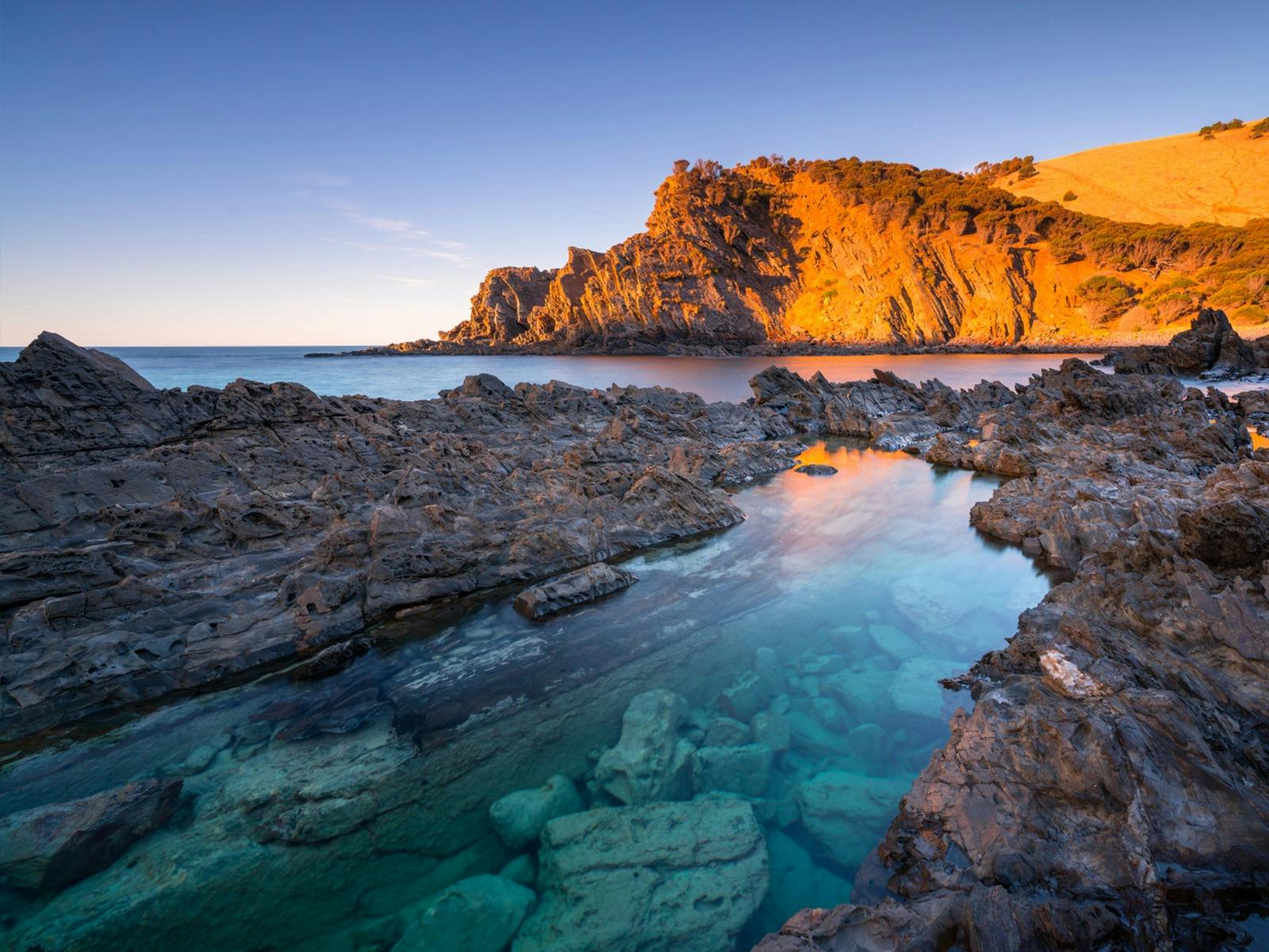 Coral Expeditions - Western Australia, Spearwood, Western Australia