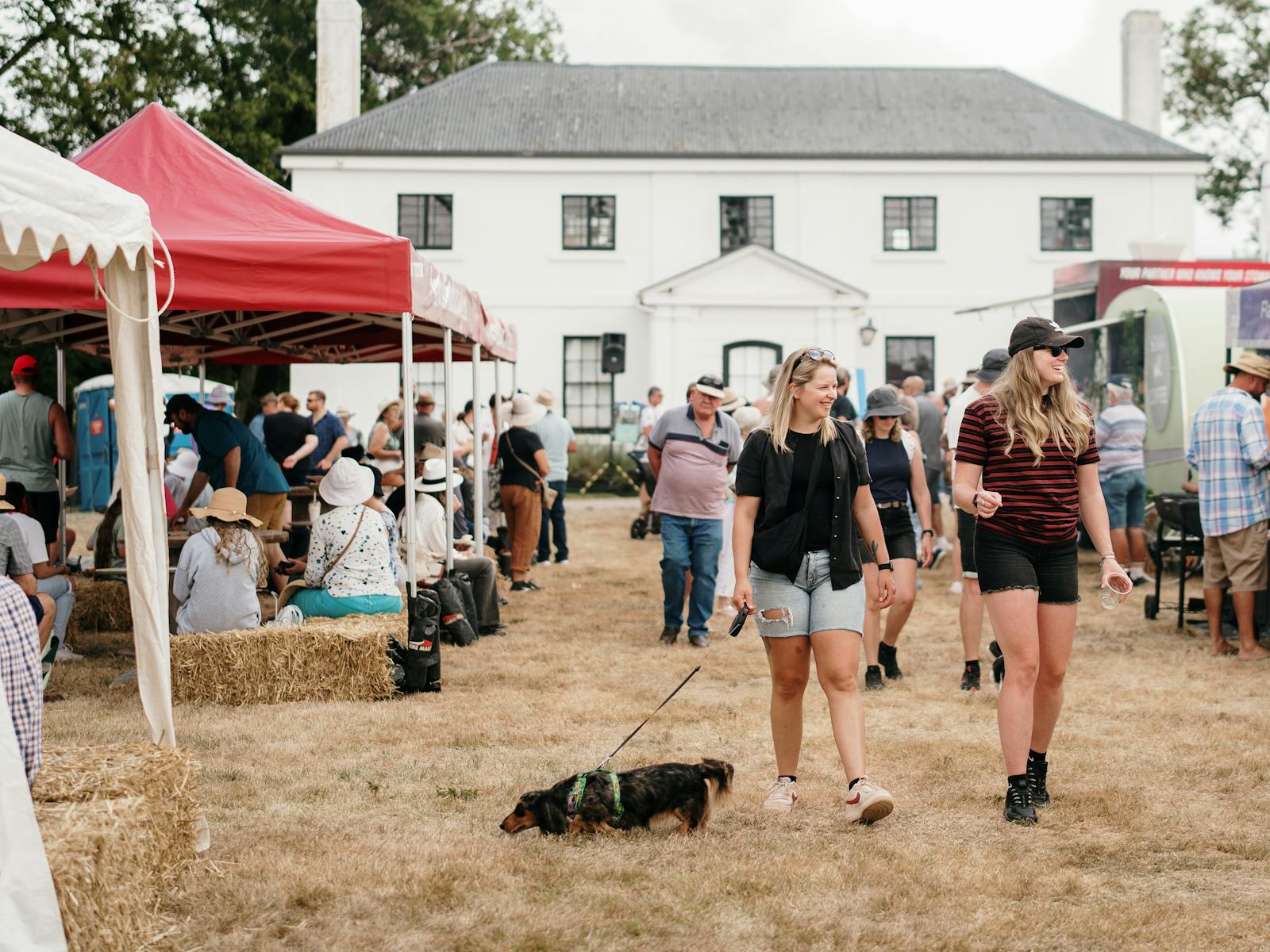 Open field, heritage white building in background, women walking a small dog amongst food vans