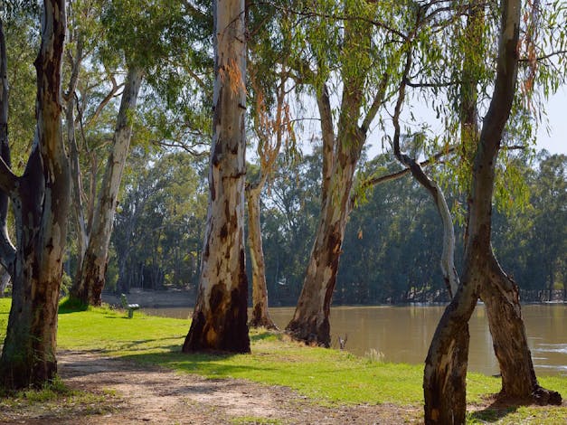 Barham River Walk