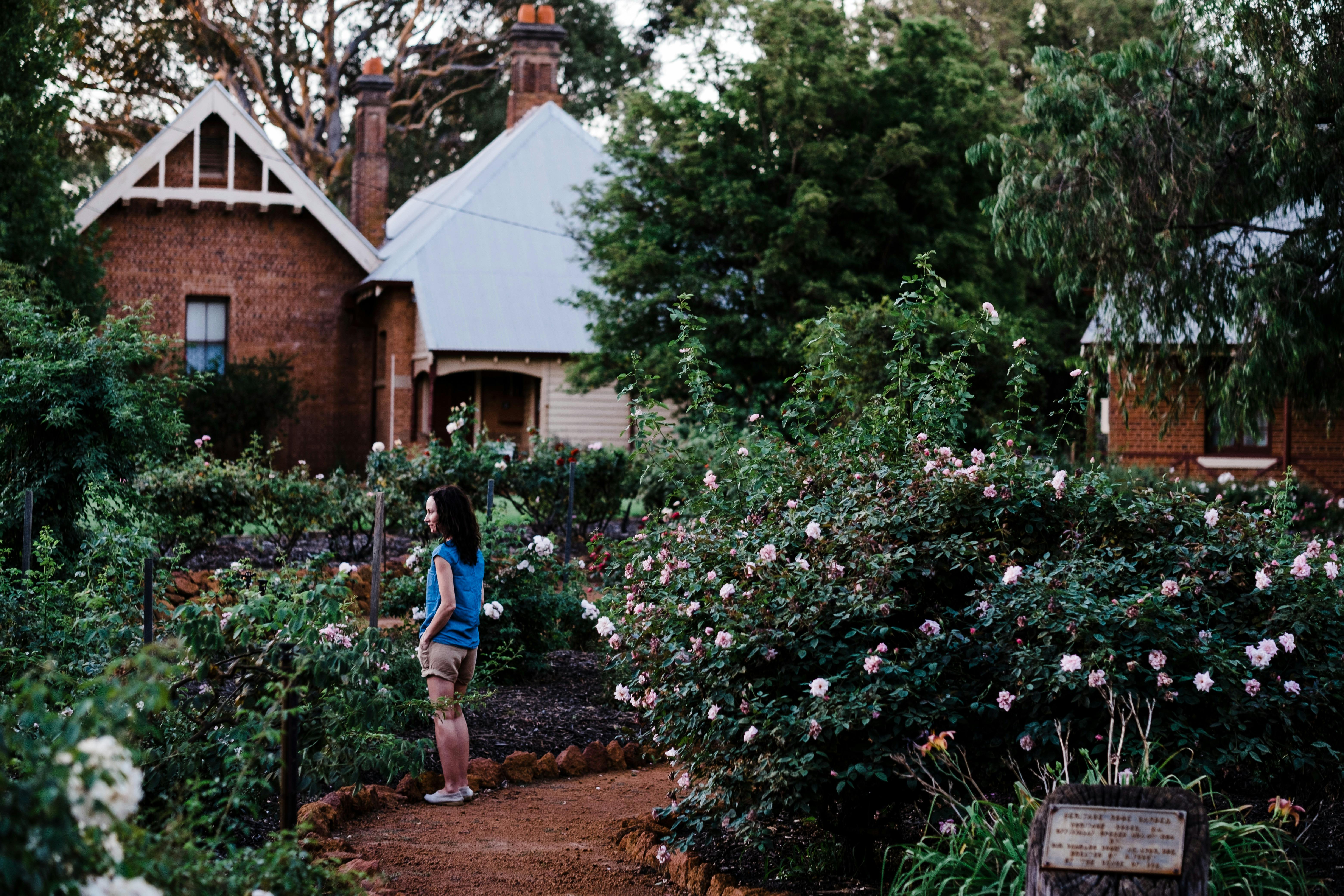 Heritage Rose Garden
