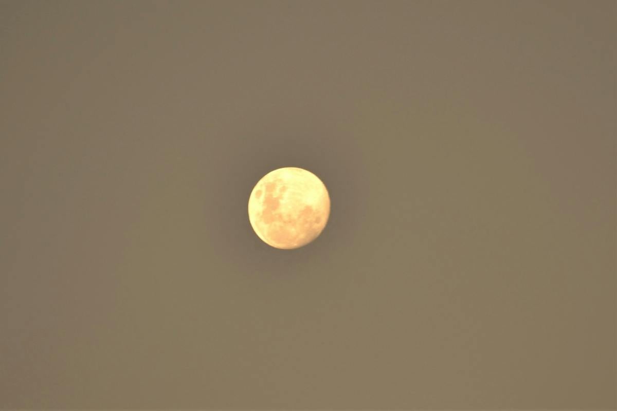 Mareeba Moon