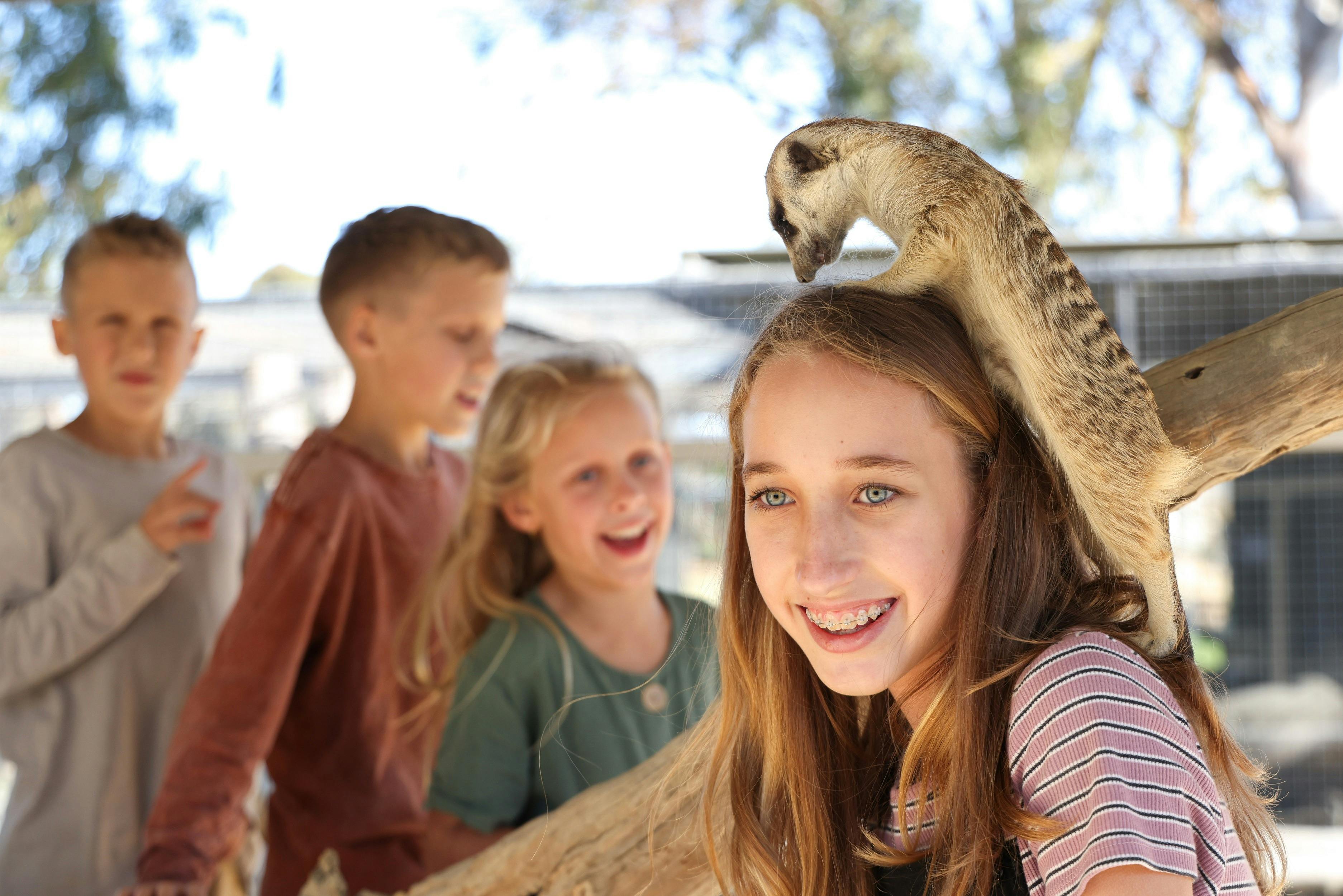 Hunter Valley Wildlife Park