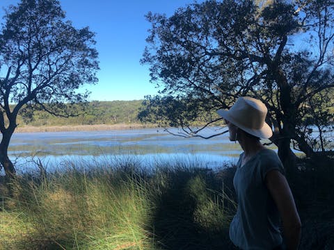 Forest Bathing, in the tranquility of the Royal National Park, Sydney