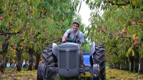 Fruit picking at Glenbernie Orchard