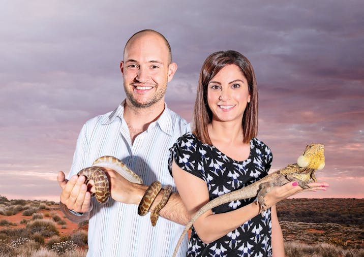 Cleland Wildlife Park Reptile Hold
