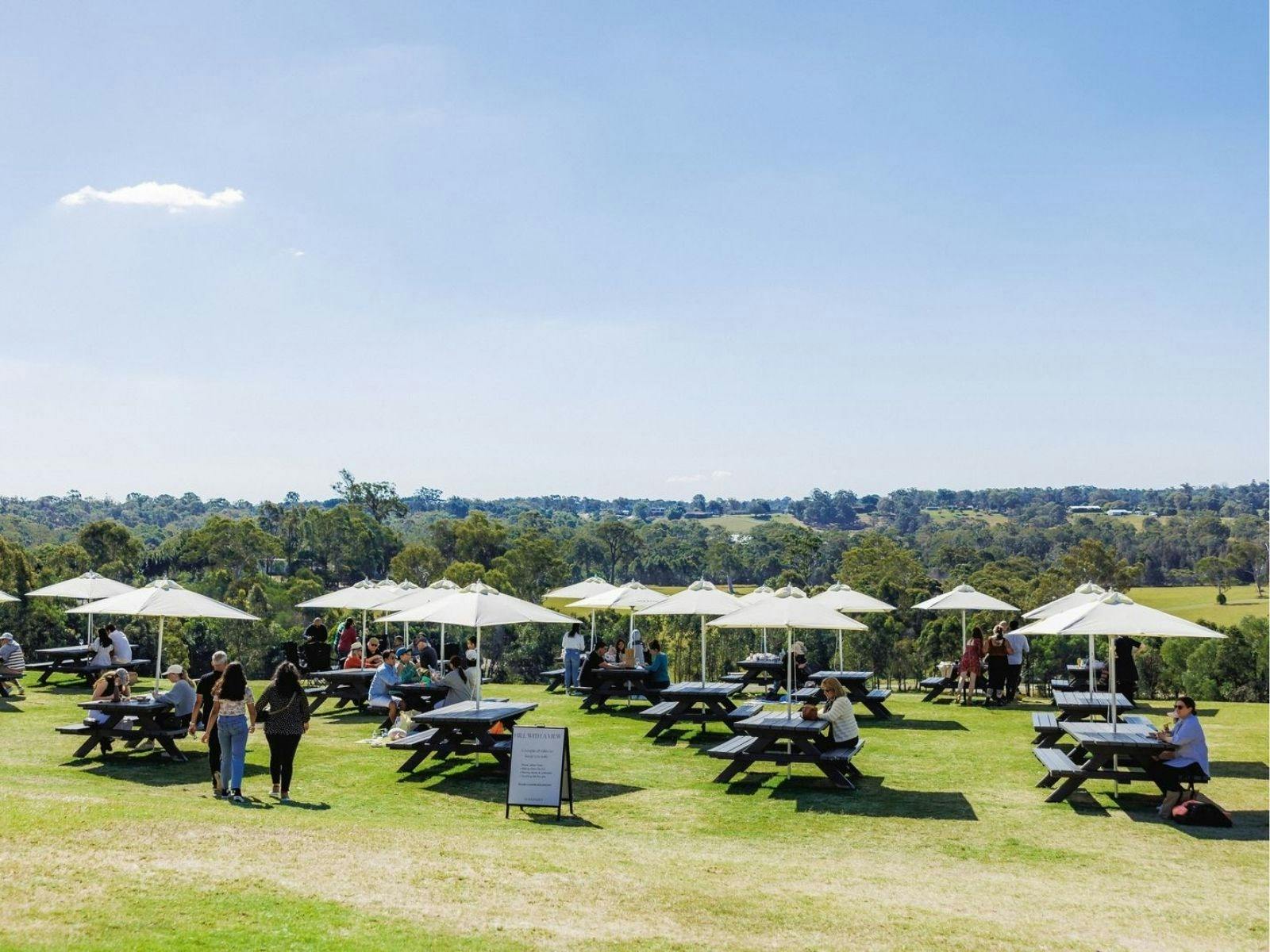 Enjoy a winery in the countryside