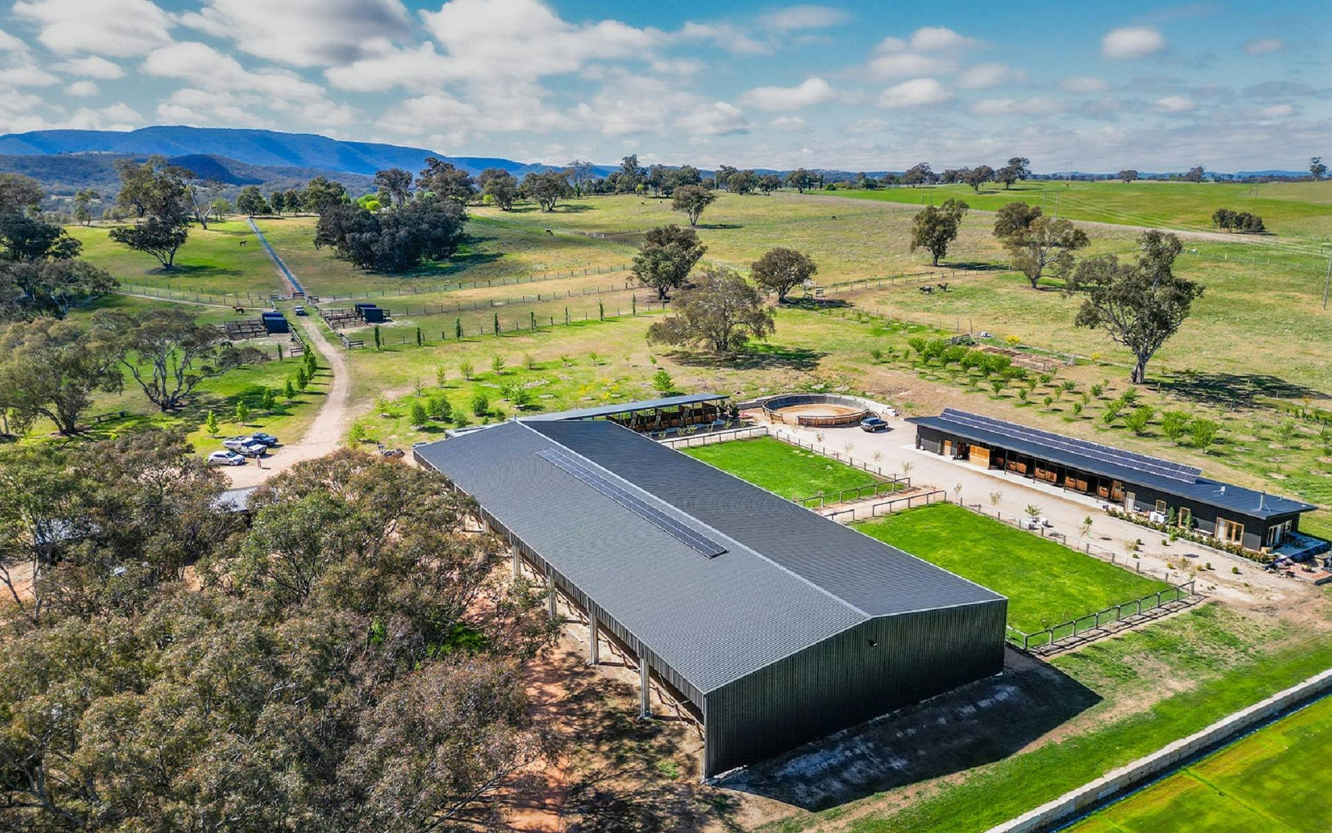 Winterwood Sport Horses