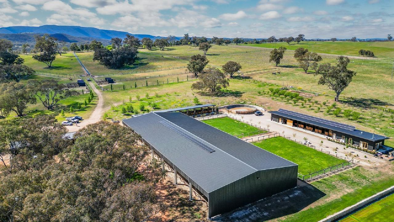 Winterwood Sport Horses