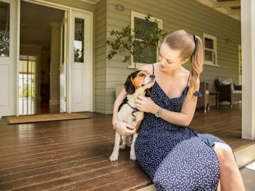 Pooch Package Pooch Package