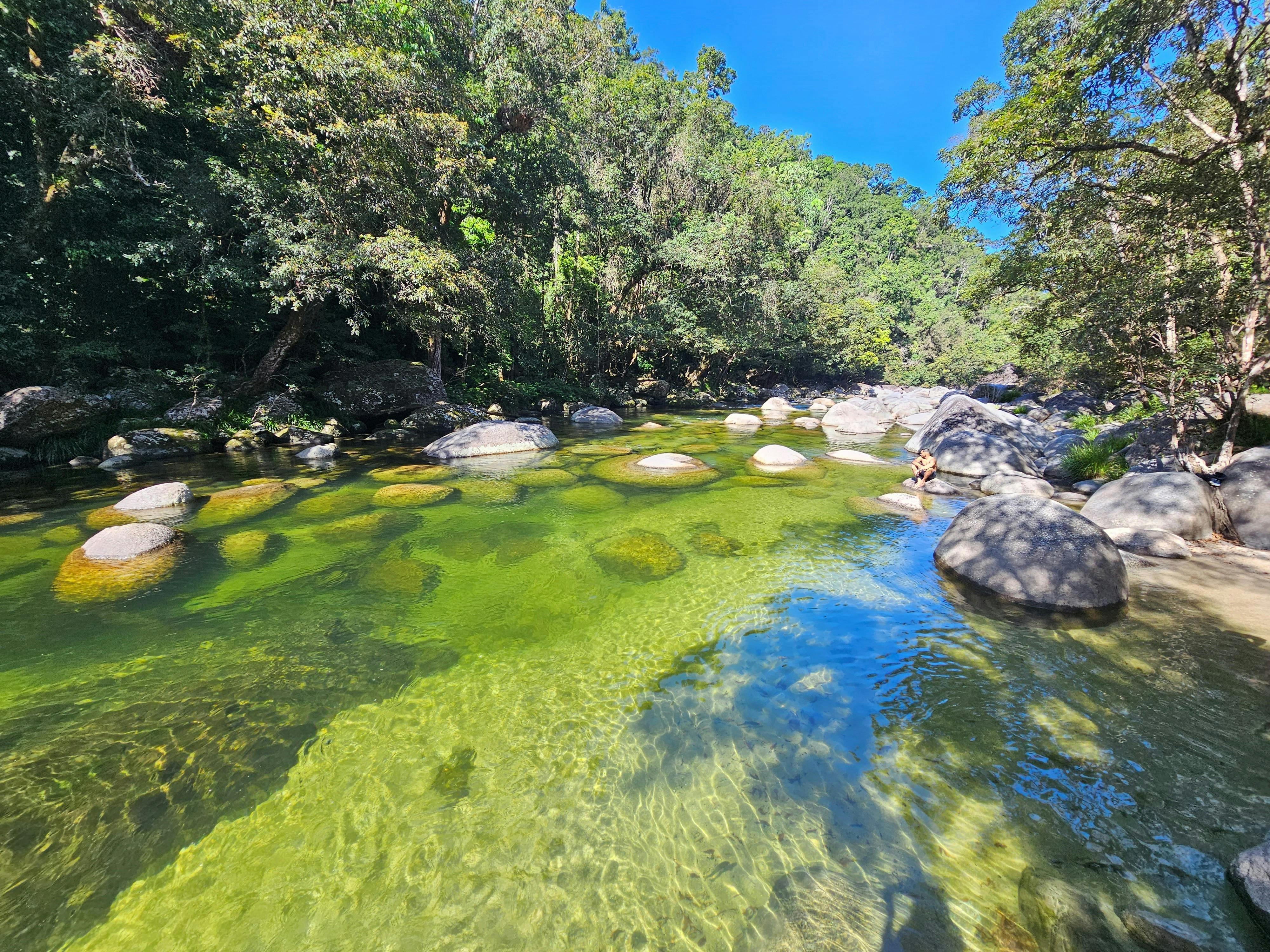 Swimming Area - Mossman Gorge
