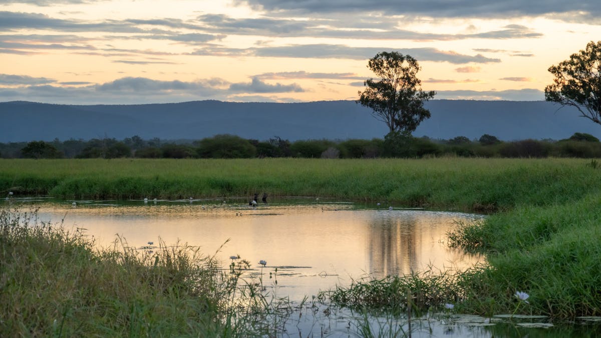 St Lawrence Wetlands