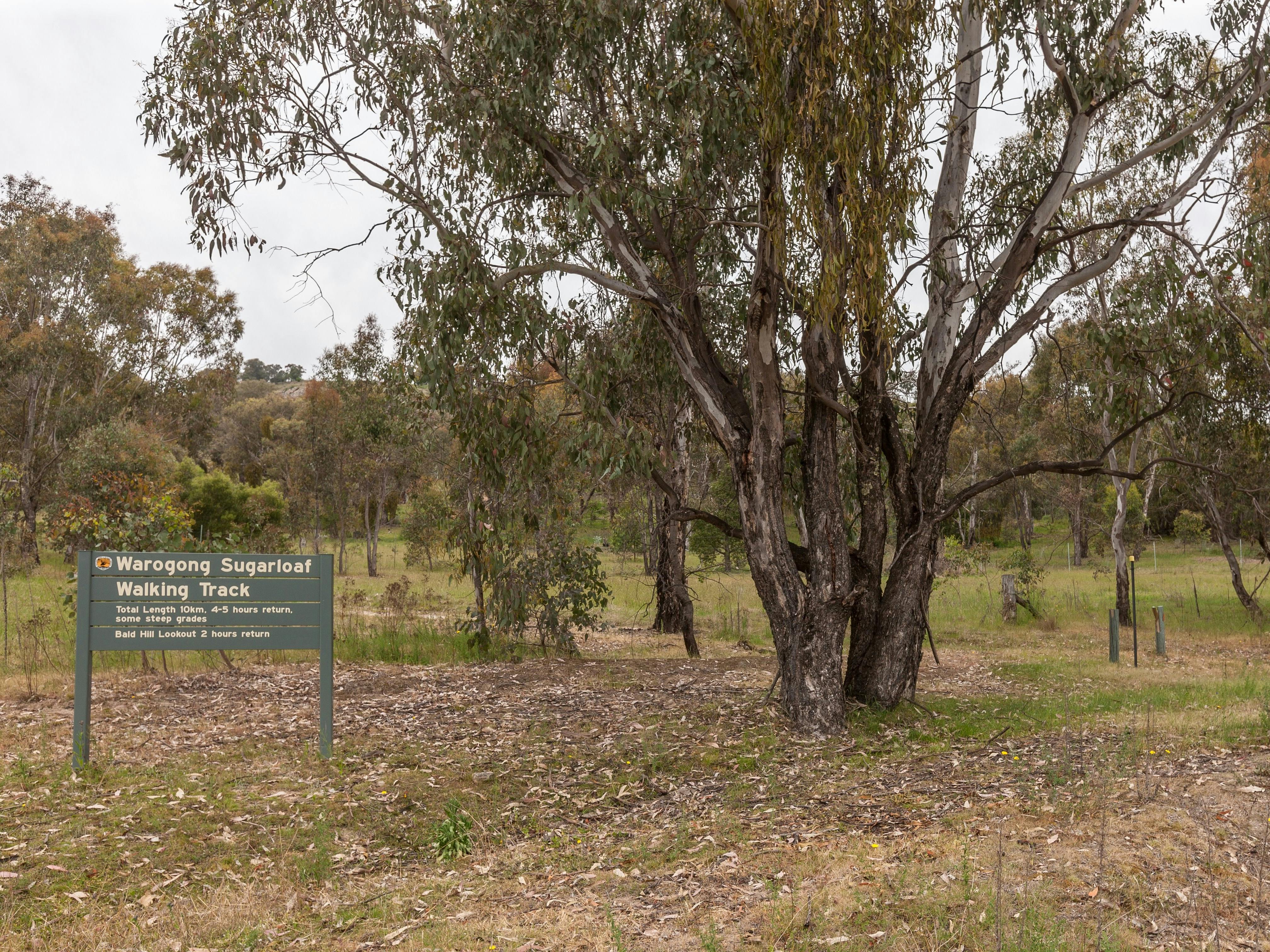 Warogong Sugarloaf Walking Track