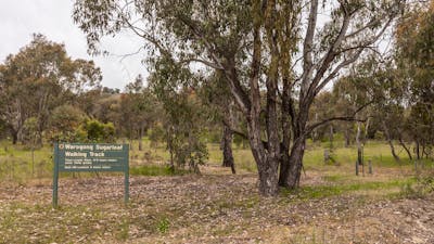 Warogong Sugarloaf walking track