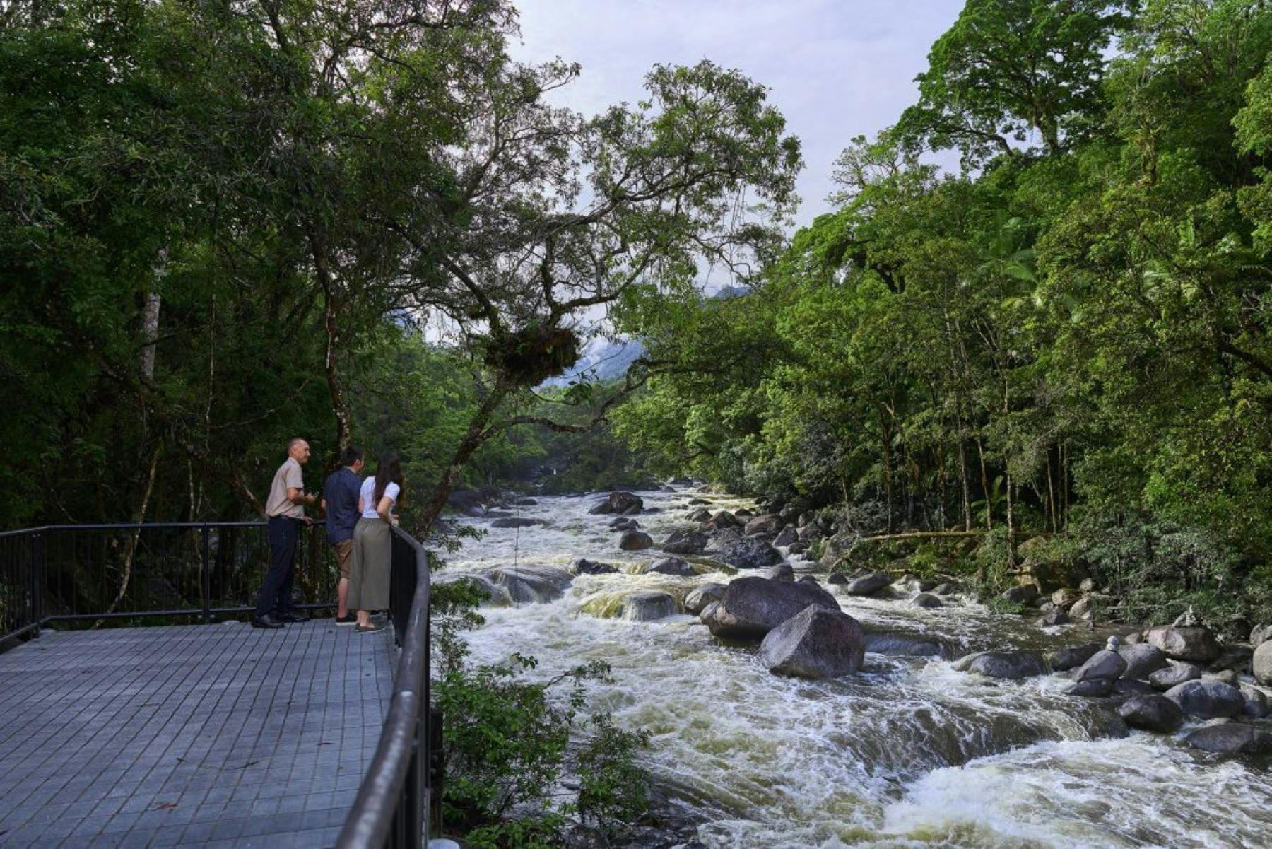 Swift Flowing Waters of Mossman Gorge