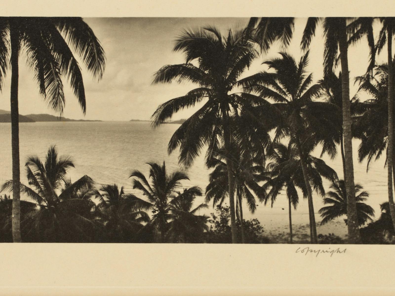 Image for Pacific View