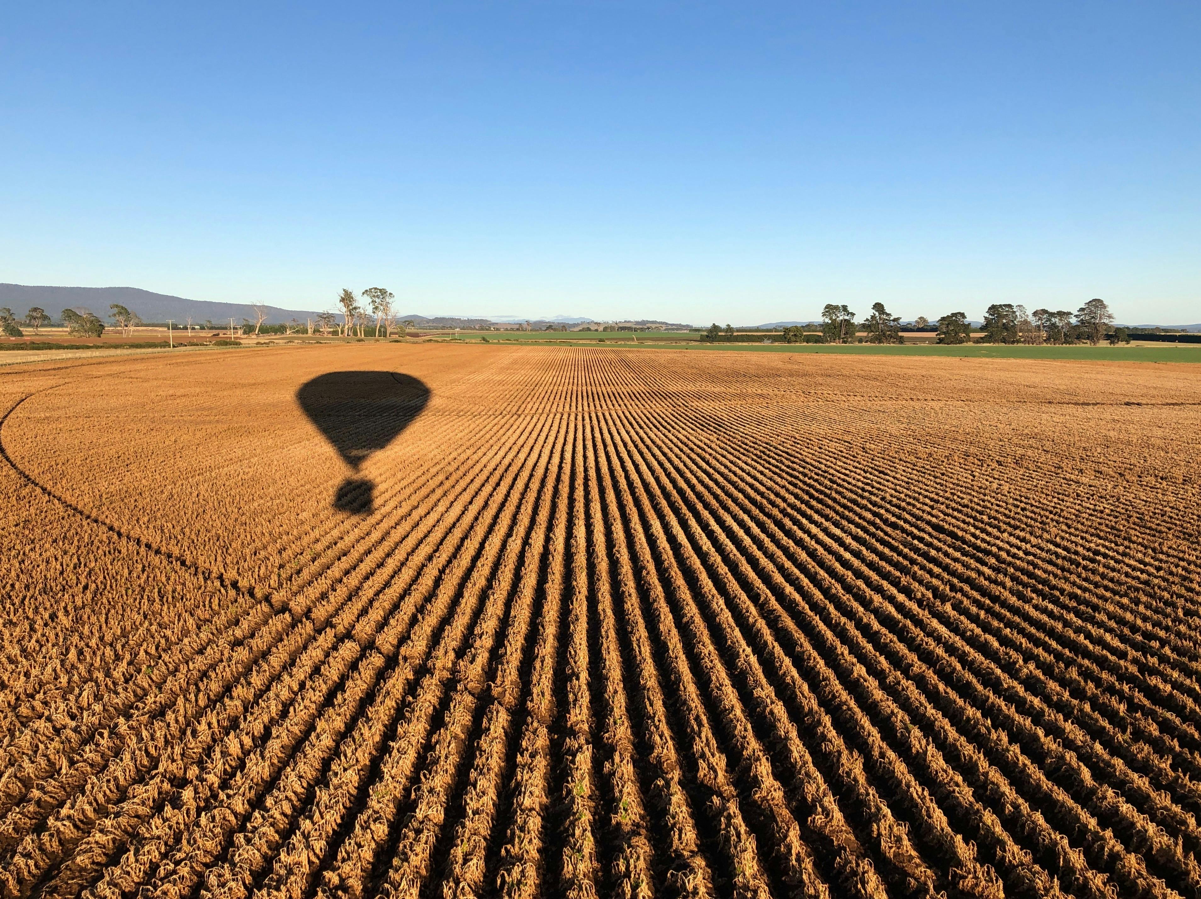 Liberty Balloon Flights Perth (Avon Valley), Northam, Western Australia