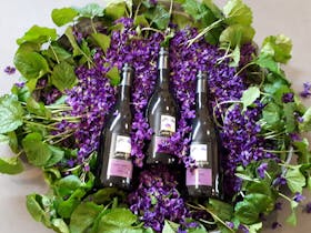 Caroline Hills Pinot Noir