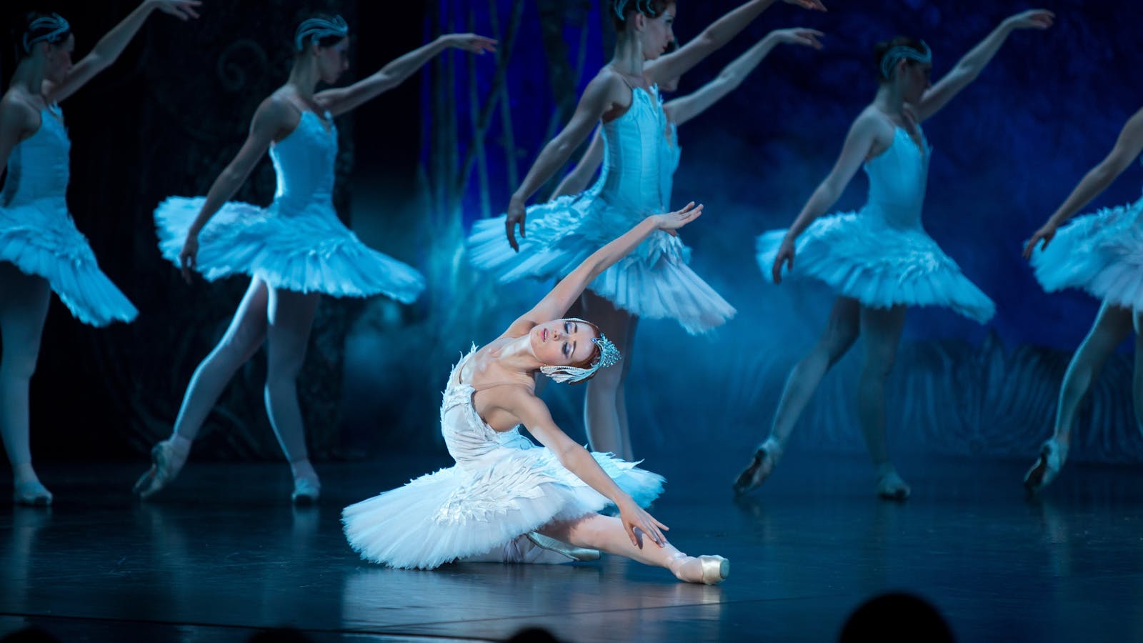 Image for Swan Lake