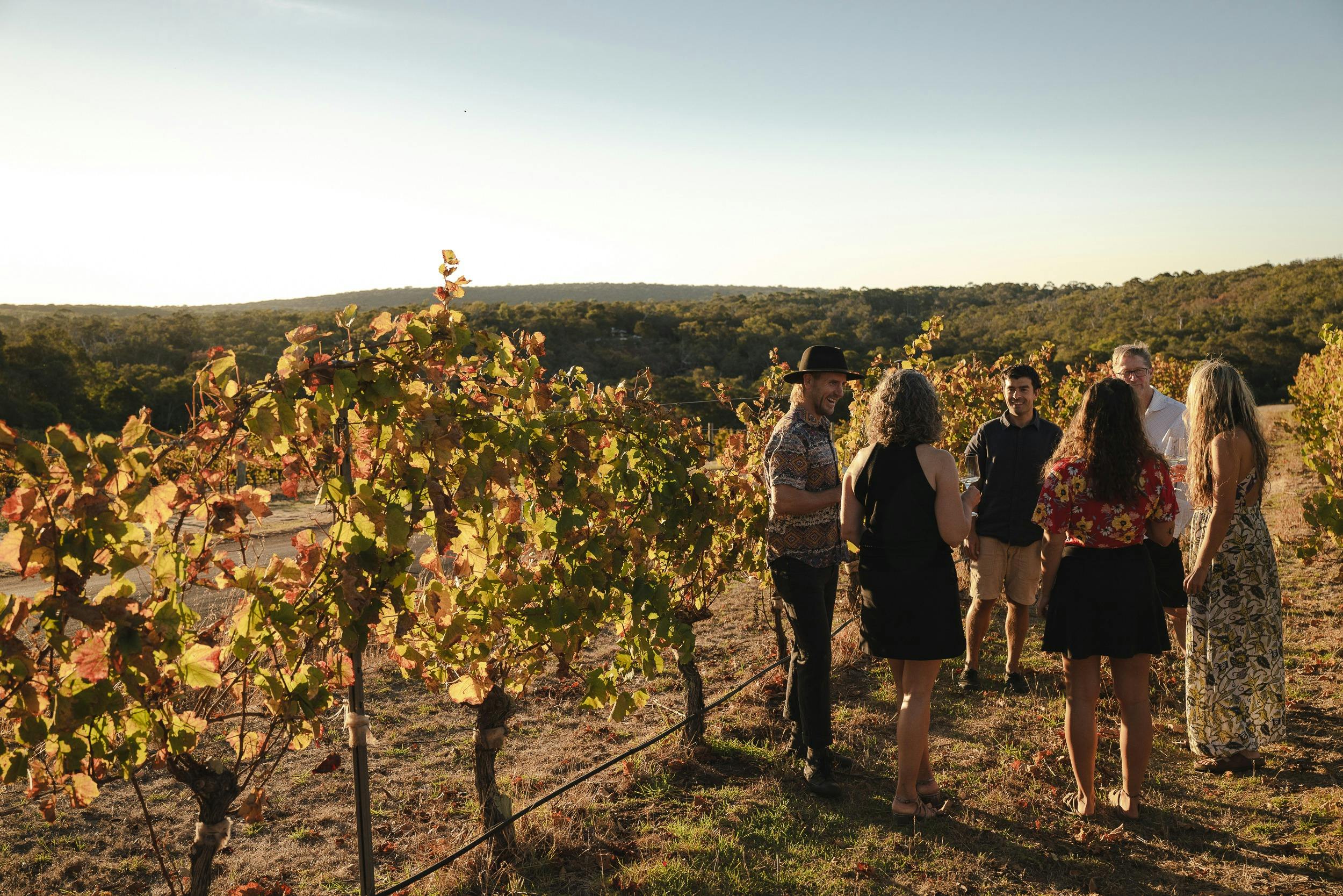 private wine tour