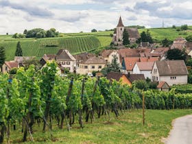 Alsace Inspired Lunch with Colmar Estate & Summer St Wine Room