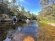 Guided Fly Fishing, Victorian High Country