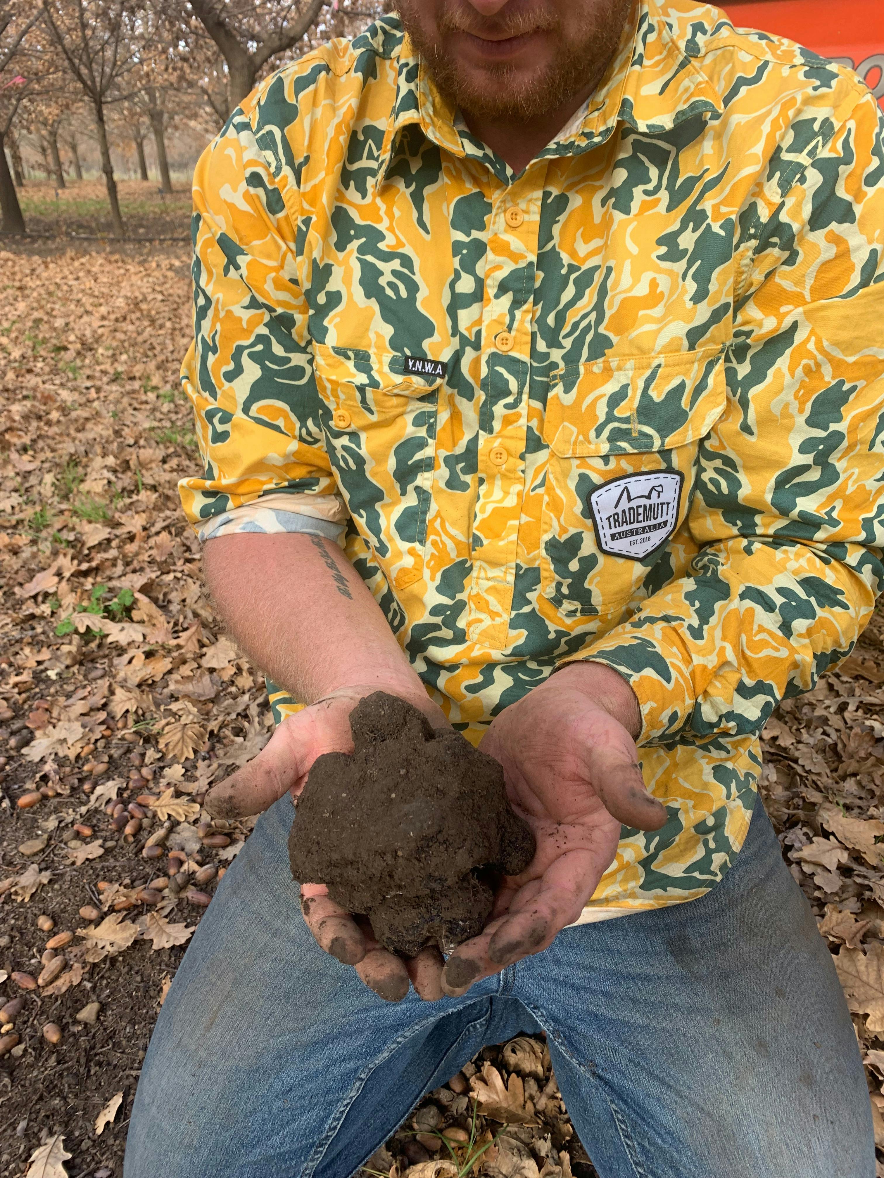 OakShade truffles
