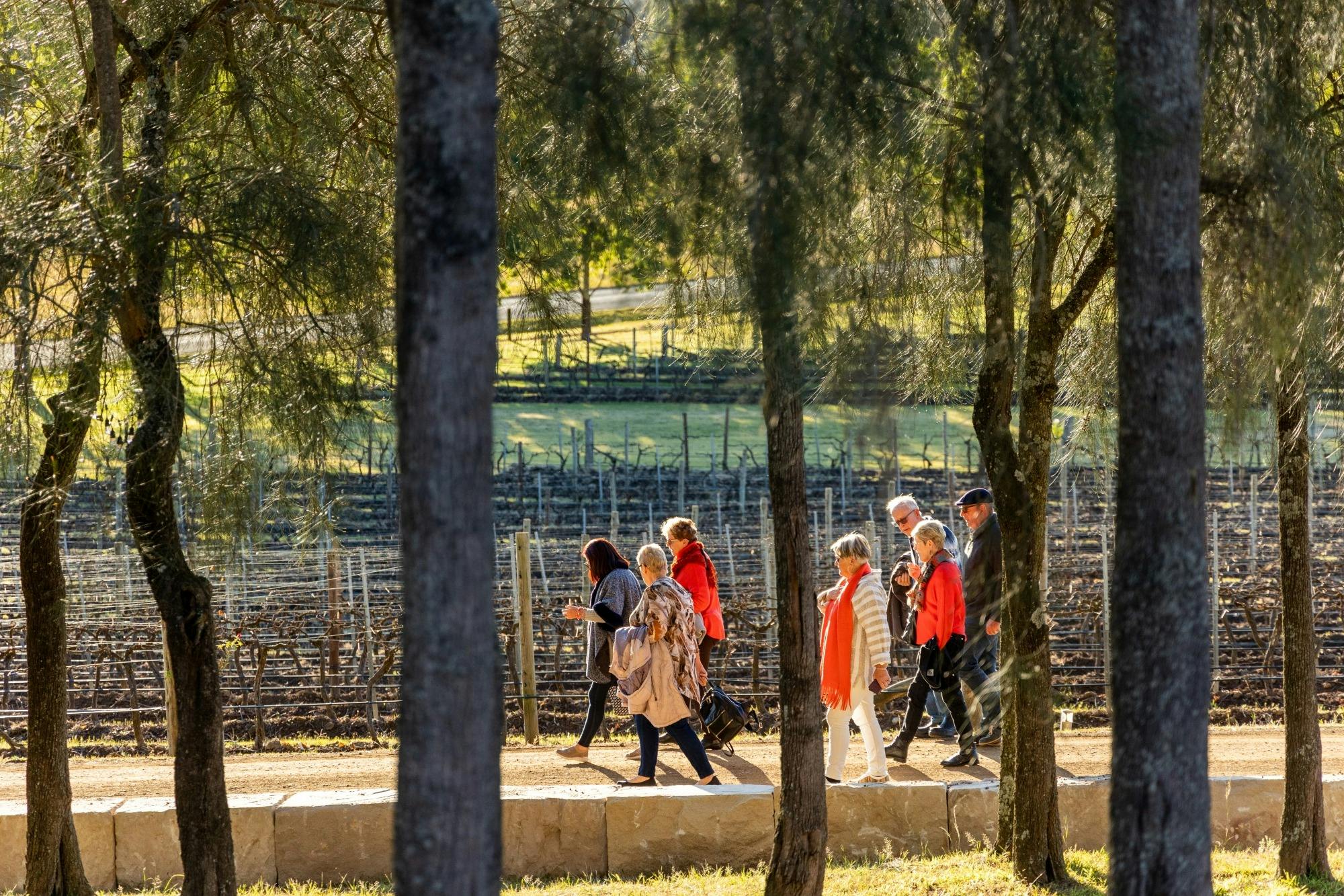 Taking a walk amongst the Sculptues and VInes
