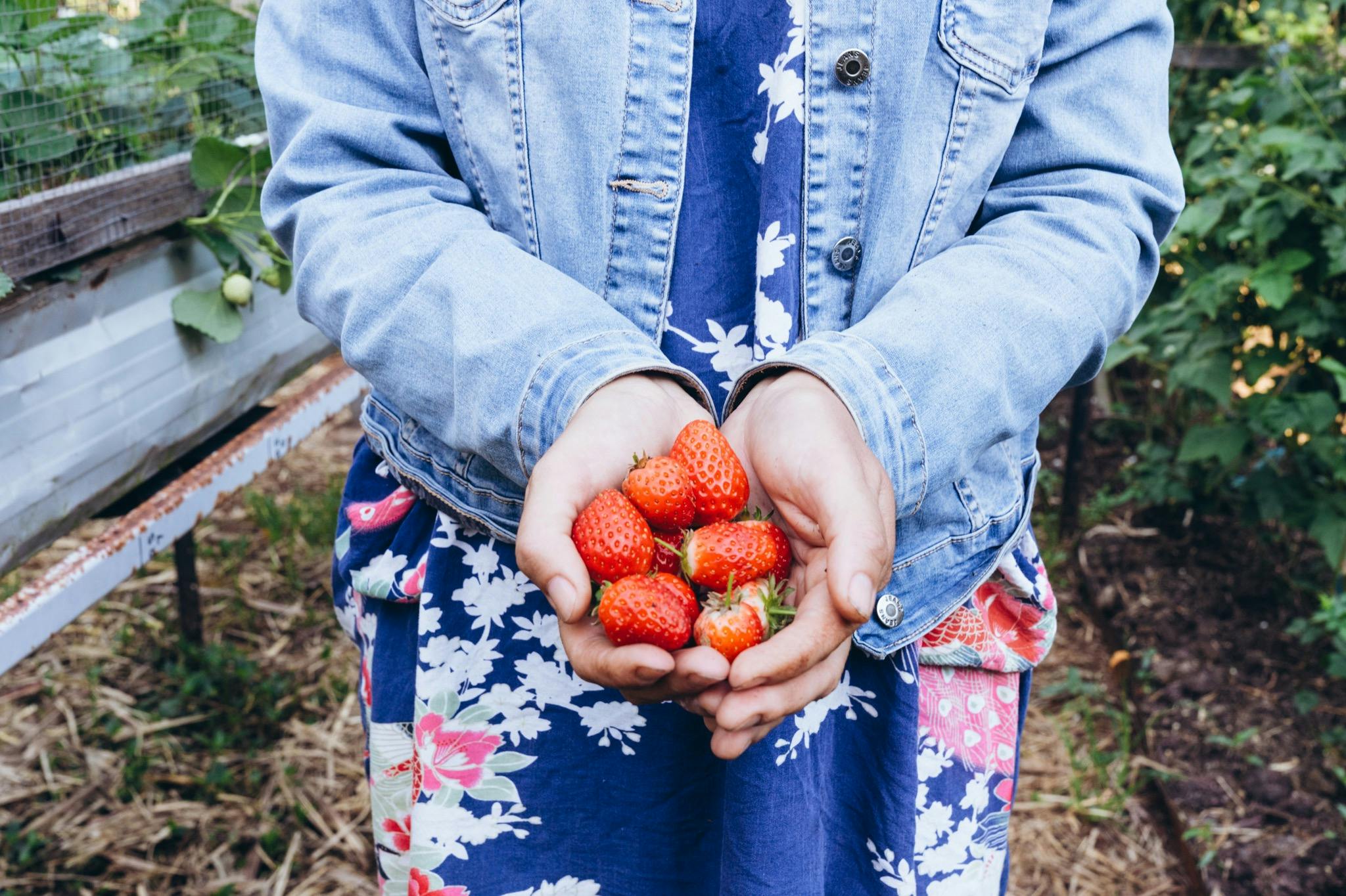 Tamborine Mtn Edible Garden Trail
