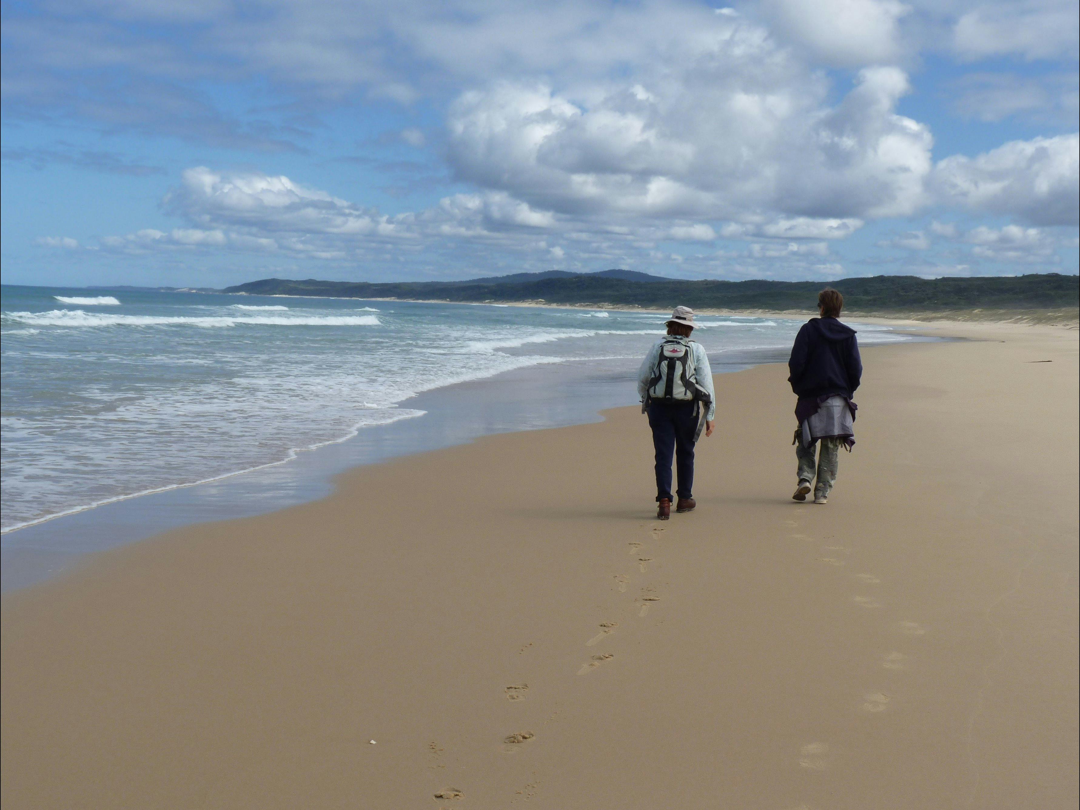 Gippsland High Country Tours