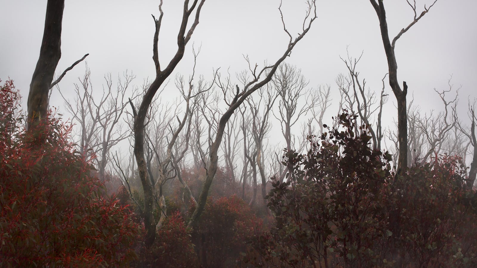 Artists of the Huon Valley Exhibition