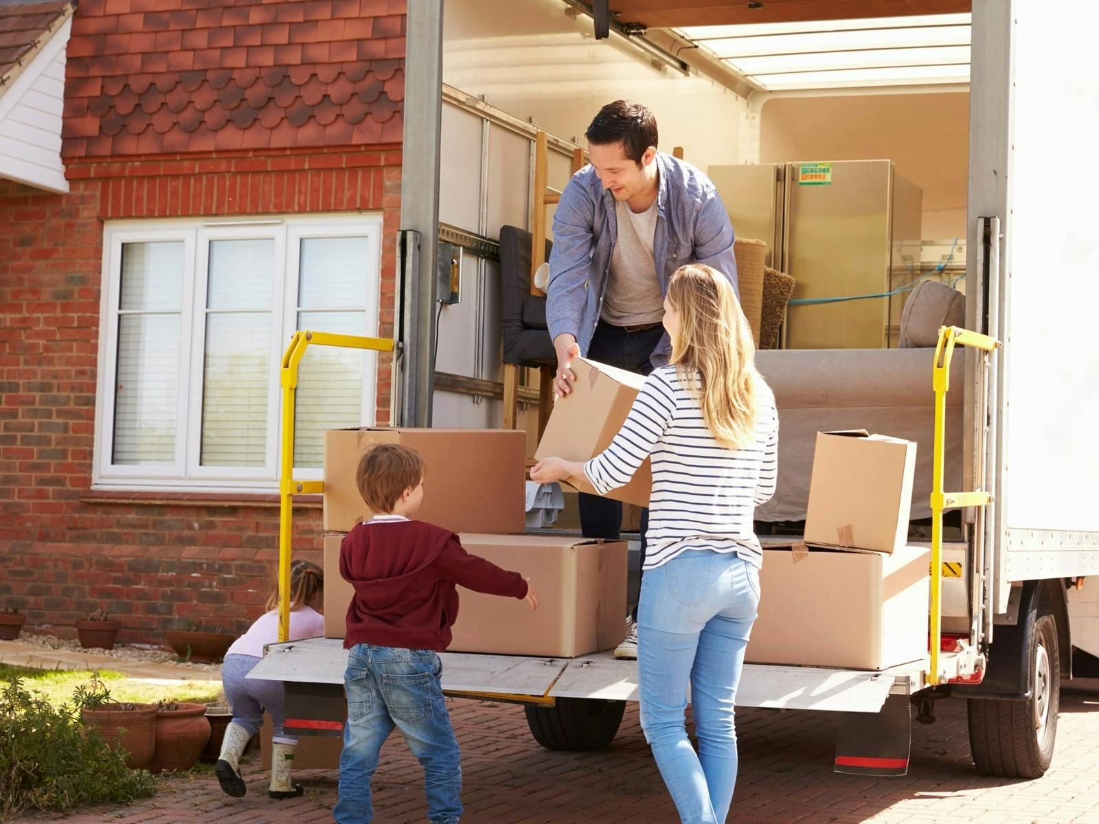 budget albury house removal