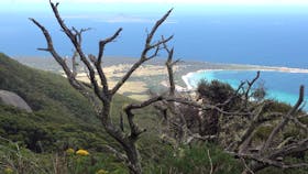 Strzelecki Peaks Great Short Walk