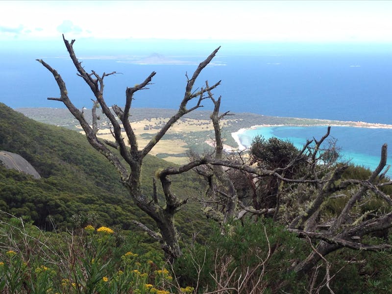 Forthingate Bay from Strzelecki Peak Walk