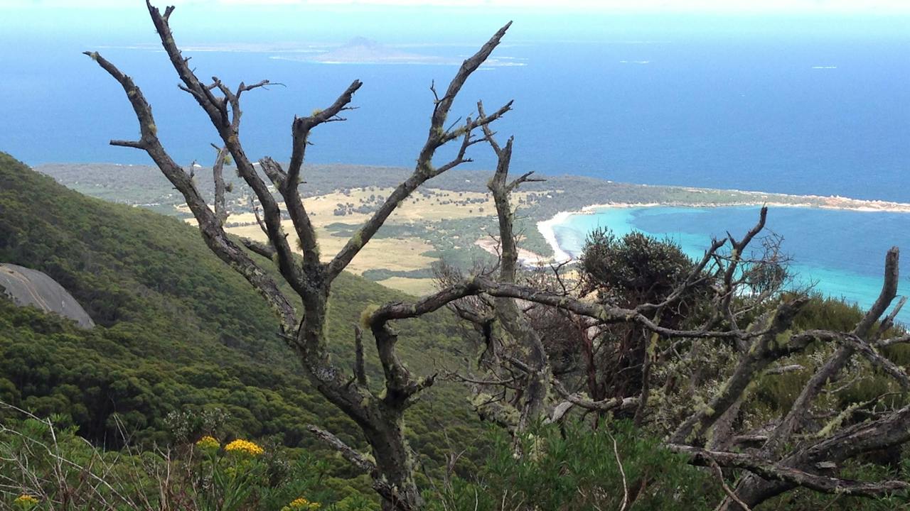 Forthingate Bay from Strzelecki Peak Walk