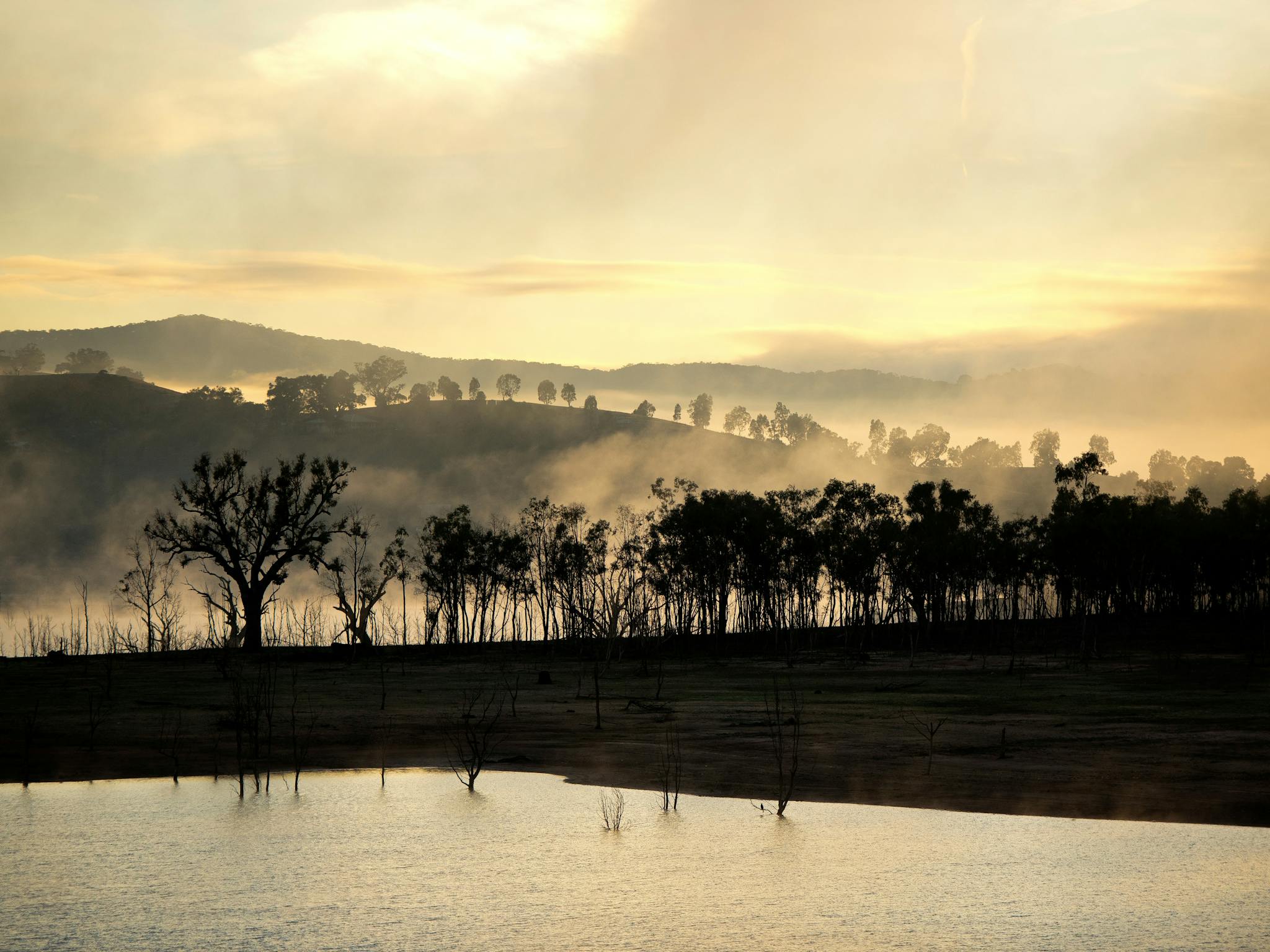 Serene view of Lake Eildon at dawn with mist rising and silhouetted trees in Bonnie Doon, Victoria.