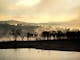 Serene view of Lake Eildon at dawn with mist rising and silhouetted trees in Bonnie Doon, Victoria.