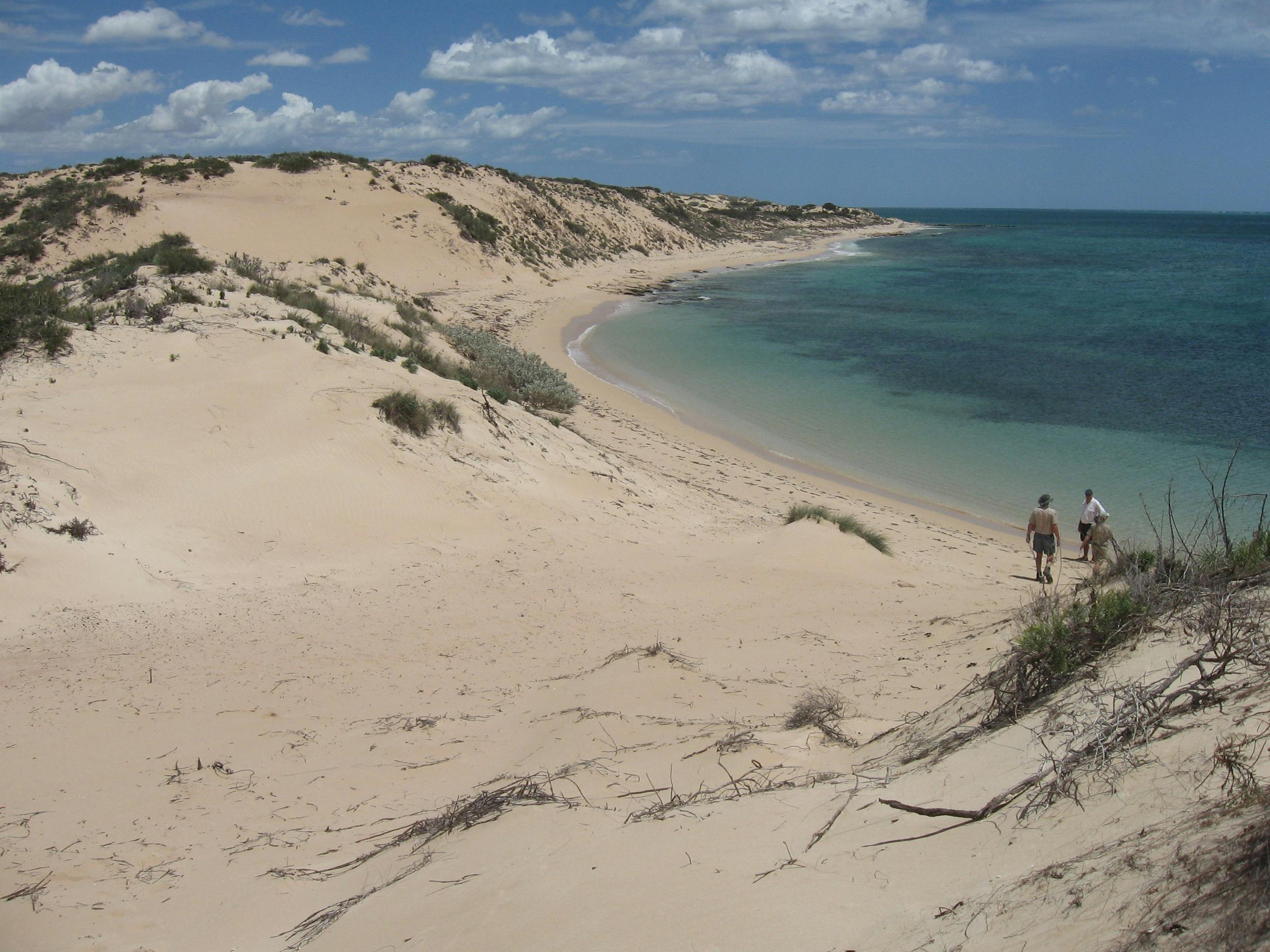 Boat Harbour Campground in Cape Range National Park - The Fold: Your ...