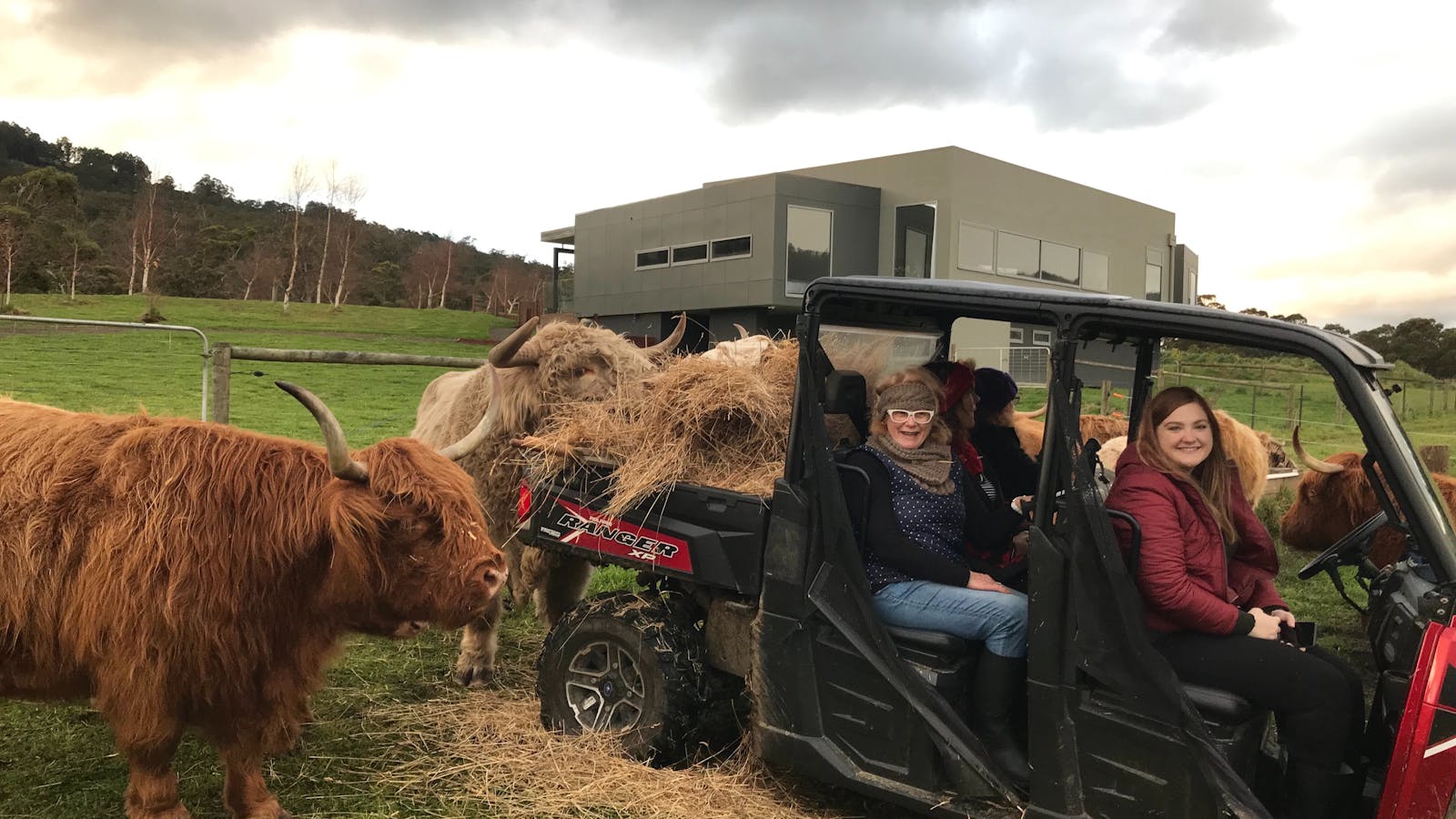 Tour around in an ATV