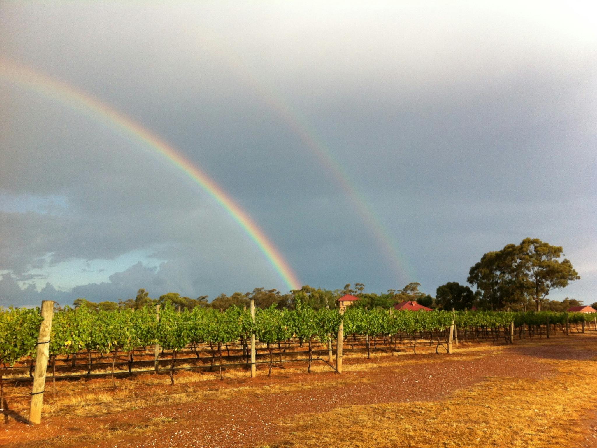 Rainbow over Sandhurst Ridge