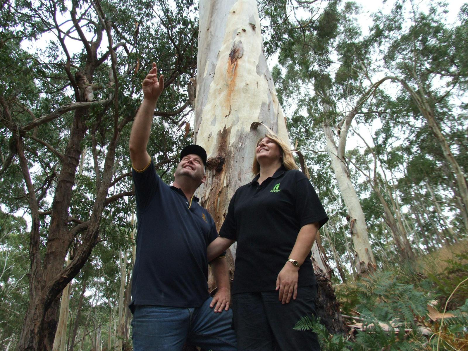 Sinclair's Gully