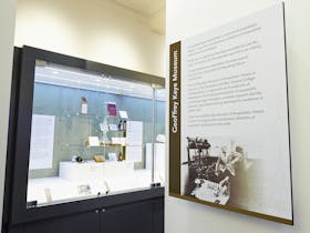 Museum display - introduction