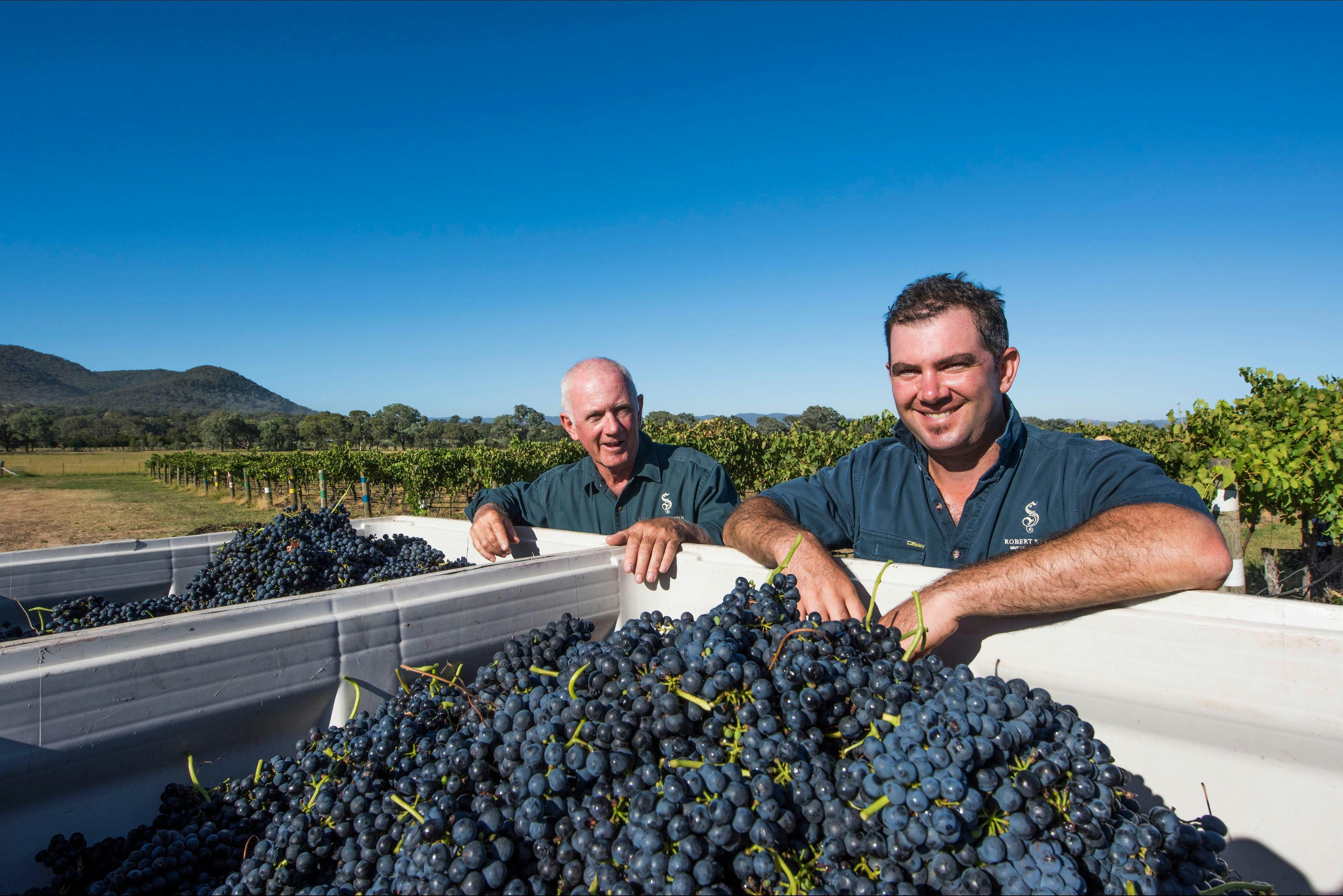 로버트 스타인 와이너리