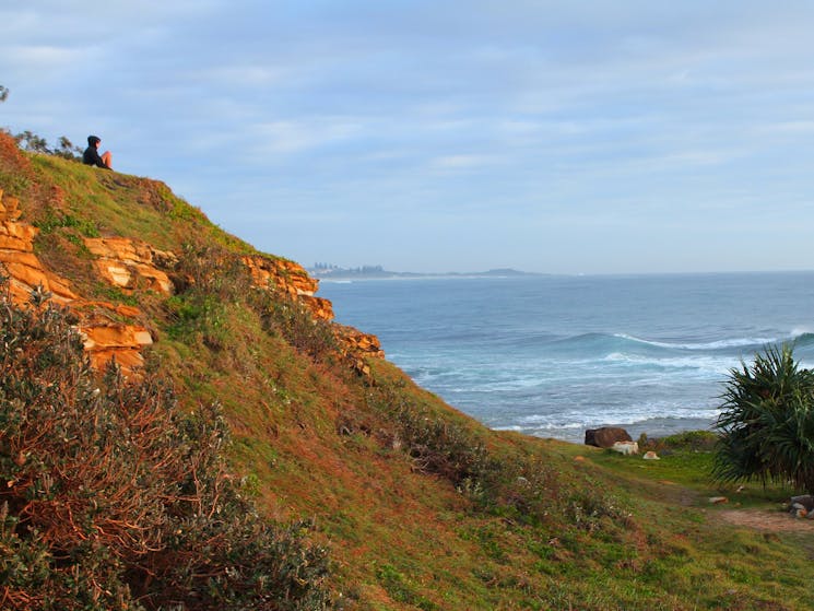 Green Point’s grassy vantage point, with Yamba’s Norfolk Pines in the distance.