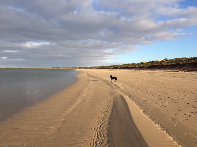 Ceduna Shelly Beach Caravan Park and Beachfront Villas, Powered S...