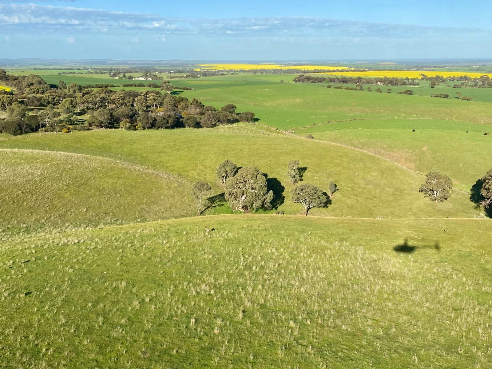 South Australian Helicopters flying over the Adelaide Hills